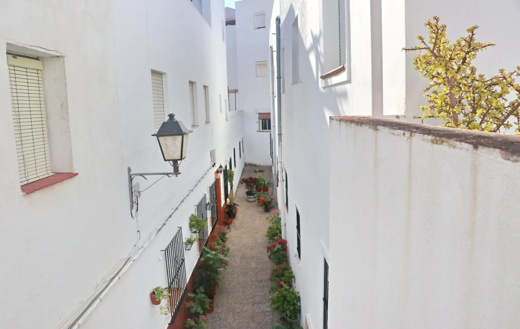 Apartament El Capricho Del Olivo Conil De La Frontera